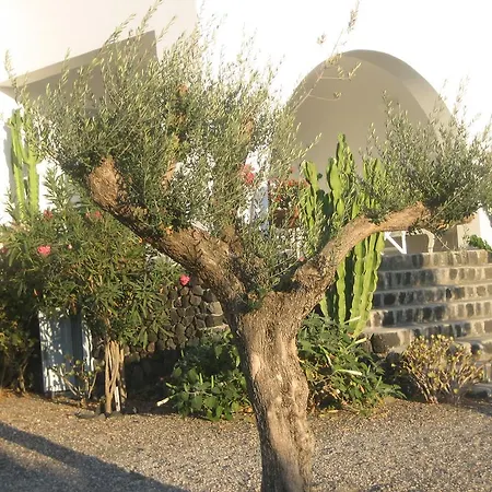Daire Sun Anemos Oia