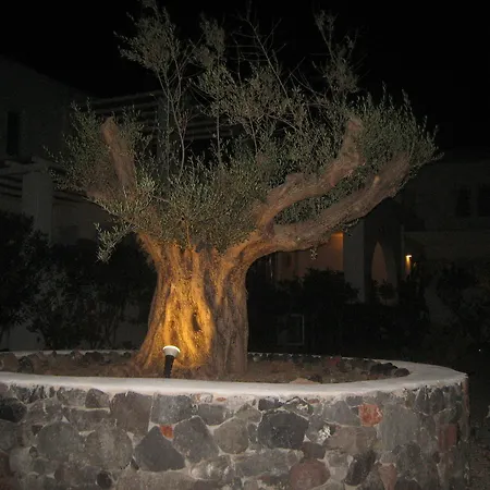 Апартаменты Sun Anemos *